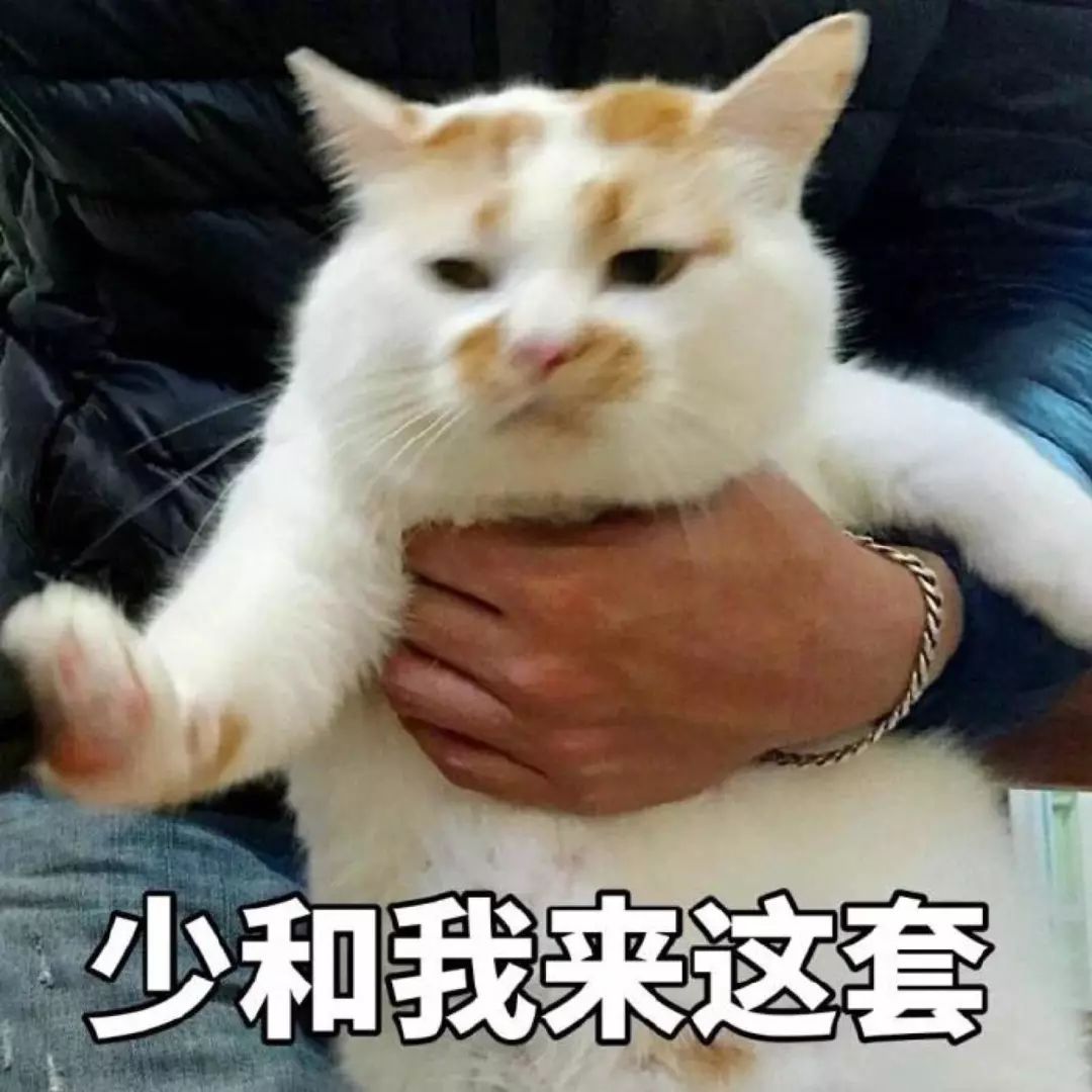 b1746920451848b5a1ef5fd32a158347.jpeg