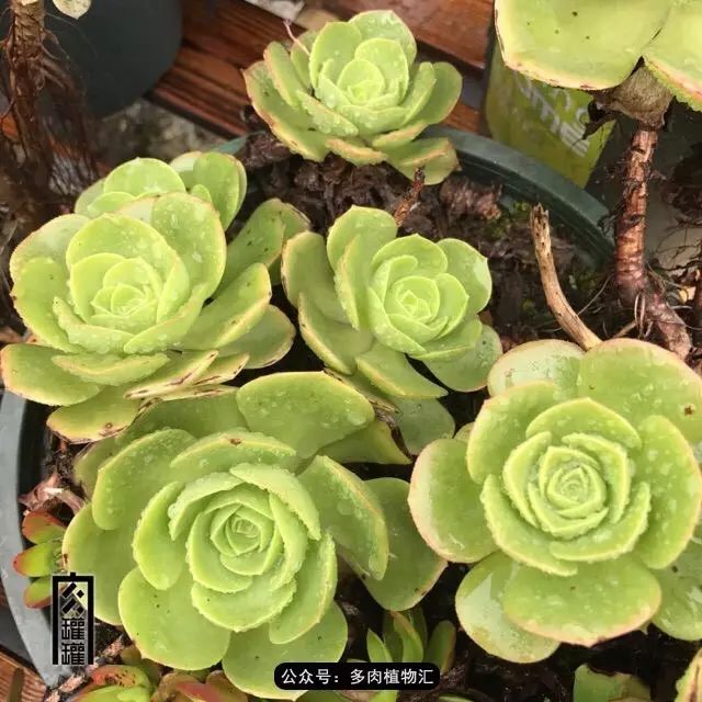 坐拥大片法师究竟是什么感觉?也许看了才知道