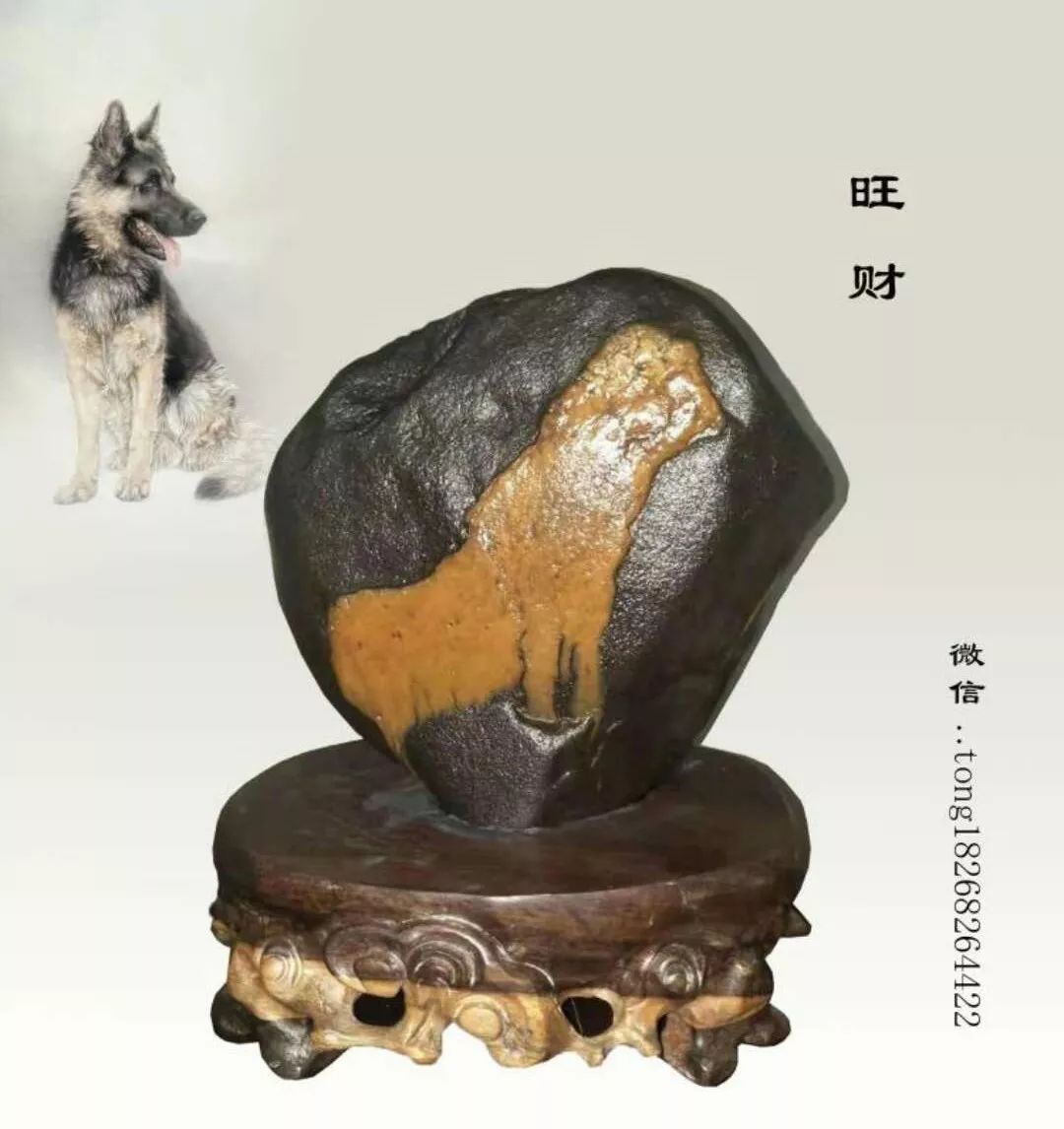 震撼中国最具有收藏价值的248方精品奇石大聚集a8版