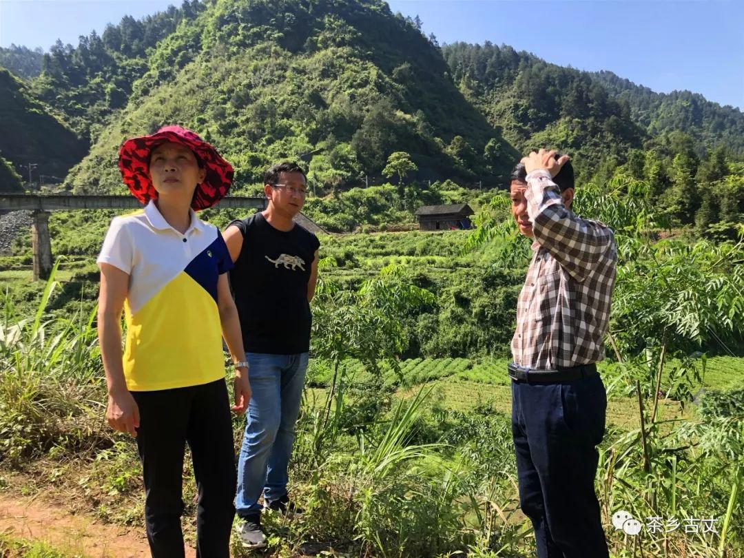 刘凤娟一行先后来到默戎镇龙鼻嘴村,盘草村,万岩村实地察看地质灾害