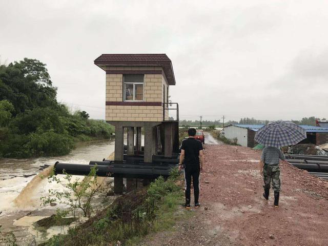 纪实:长风乡"无死角"对抗暴雨强袭