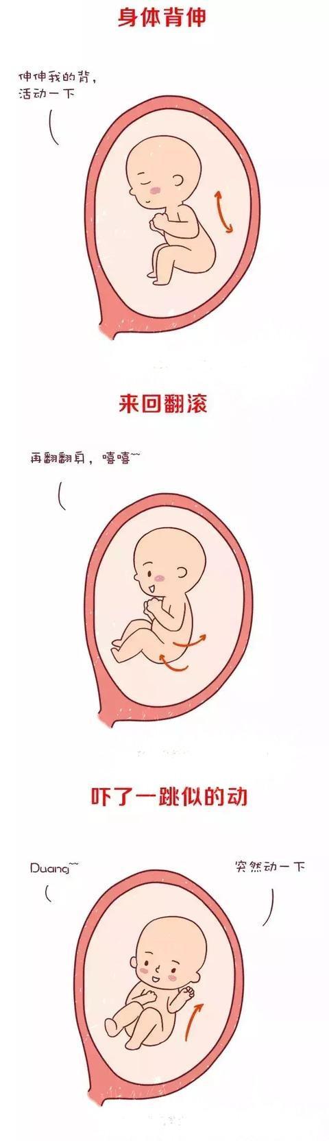 宝宝总在晚上胎动明显原来还有这层原因看完又好笑又心疼