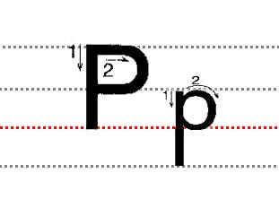 pp 书写时注意第一笔应先写左边的一竖,大写的p占上两格,小写的p占下