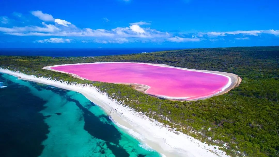 大自然还有一颗少女心,不然怎么会有这人间奇景—澳大利亚pink lake