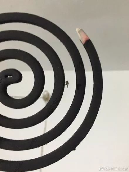                     这年头蚊子都成精了！拿什么保护你，我的花露水？