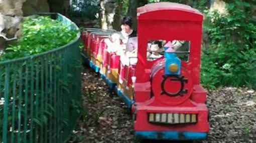 古钟园的6个游乐项目中,电动小火车最具人气,颇受小朋友的喜爱.