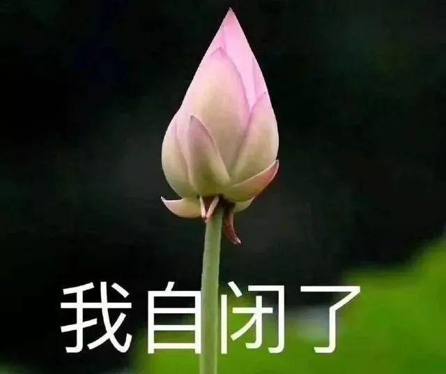                     5岁的娃，每7个就有1个得了这病！处理不当，会影响孩子一生