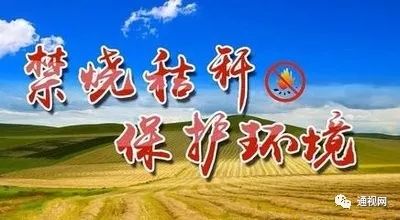 通城县将在全县行政区域内全面禁止露天焚烧秸秆