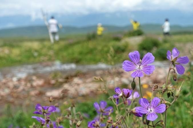 【預告】暑假 | 最美的季節去新疆：賽里木、吐魯番、巴音布魯克草原，11天10晚親子遊 旅遊 第59張