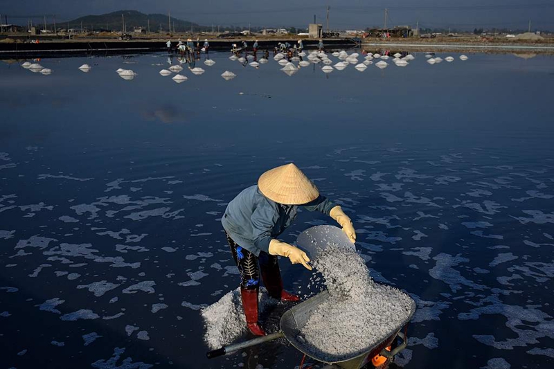 越南盐农朝出暮归古法海水晒盐祈求大丰收