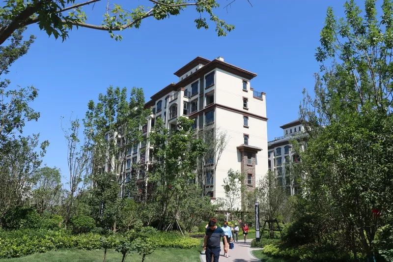 家音播报|新蔡建业·森林半岛2019年最新工程进度