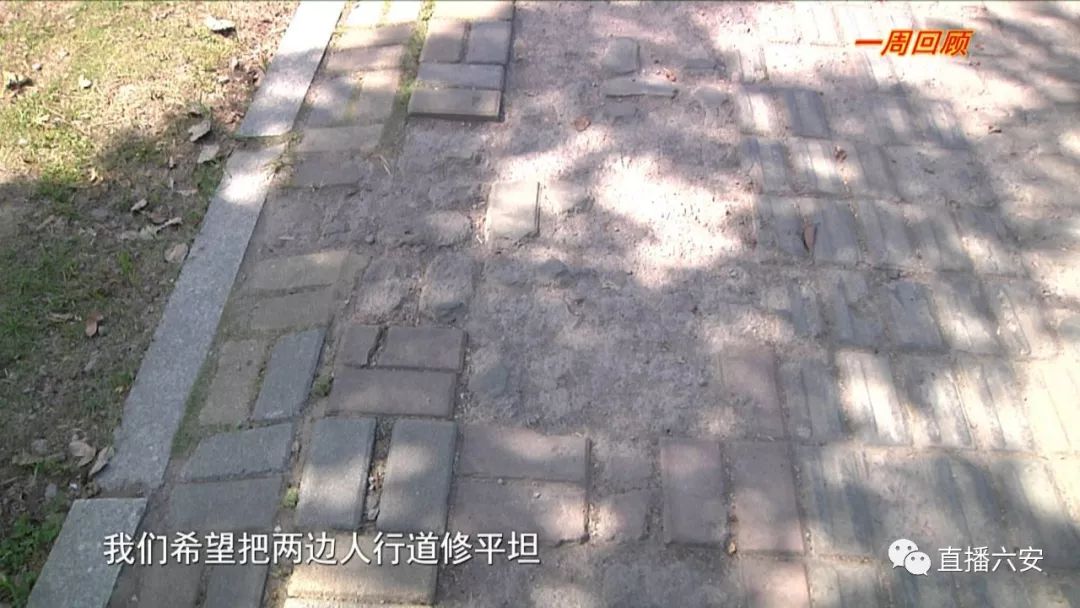 月亮岛传来好消息,这些“老问题”有望解决! bbin体育