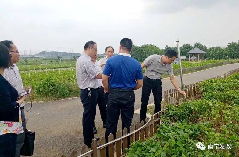 南宁市2018年县域经济总量_南宁市经济适用房照片