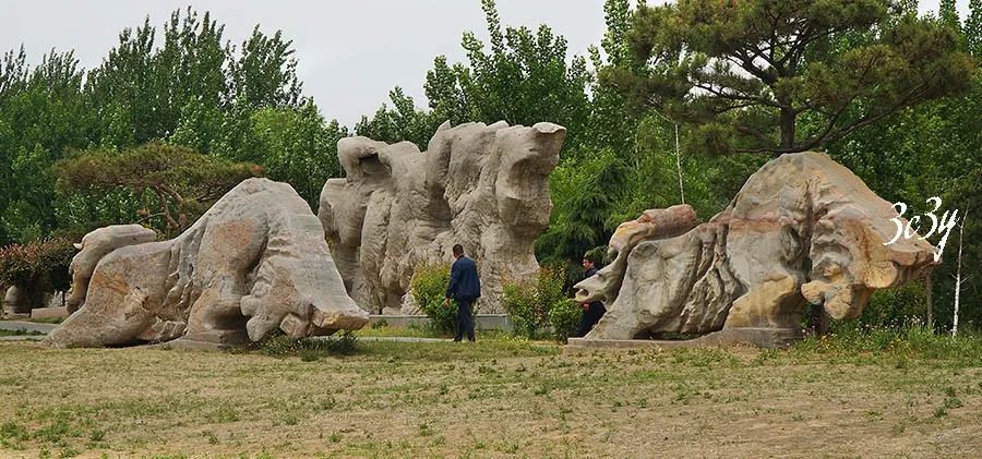 平阴石博园_奇石
