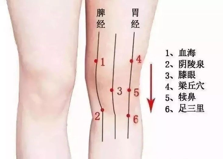 关节残疾功能障碍及关节畸形膝盖关节的红,肿,热,痛膝盖老化疼痛变得