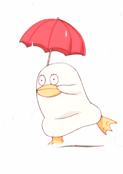 同安明天又要降温降雨!都找不到表情包来描述心情了!