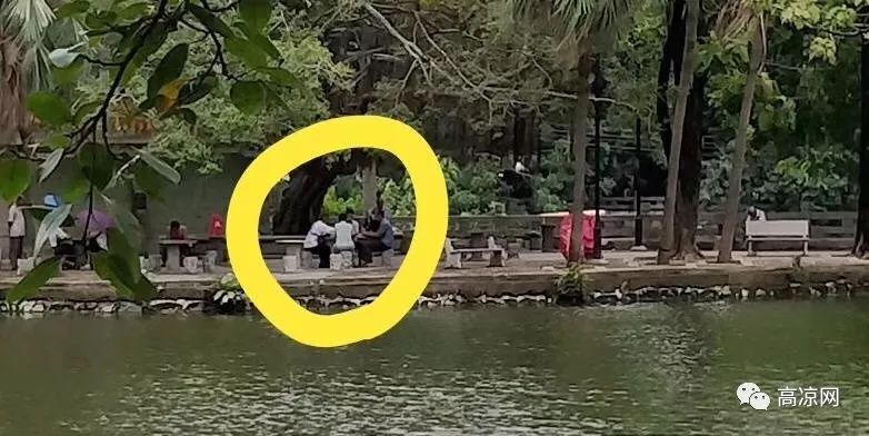高州人注意了!网友发现有两位小偷经常在潘州公园出没