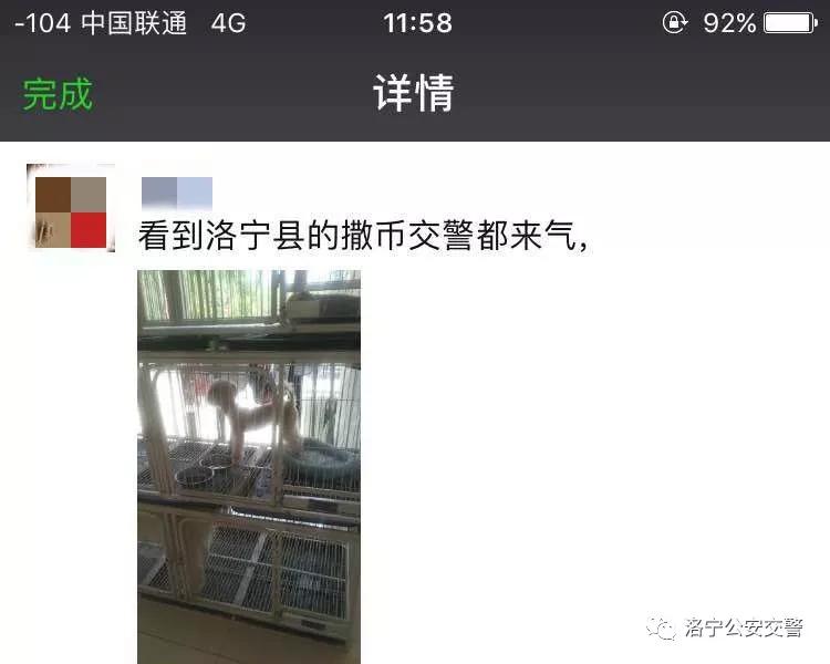 洛宁一男子在微信“朋友圈”辱骂交警，结果......