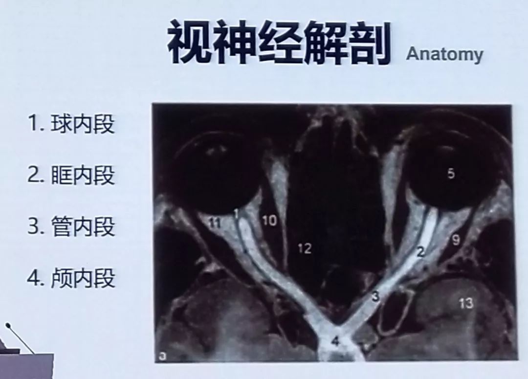 视频上海交通大学医学院附属仁济医院神经外科江基尧教授做学术报告