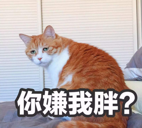 11d5e6c21f2949fb9c38bb852bfdd9bf.png