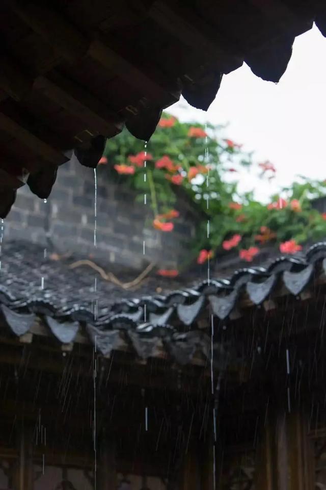落在遥远往昔的一场雨 博狗官网bogou