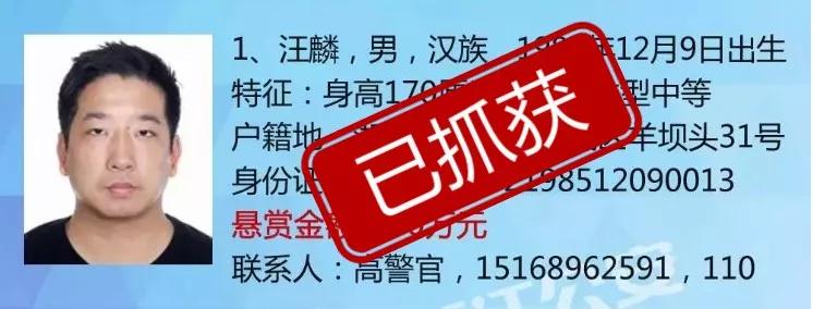 元泰金服实际控制人汪麟被缉捕回国