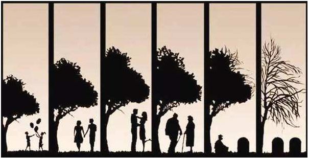 6张图,把你的一辈子安排得明明白白,太精辟了!