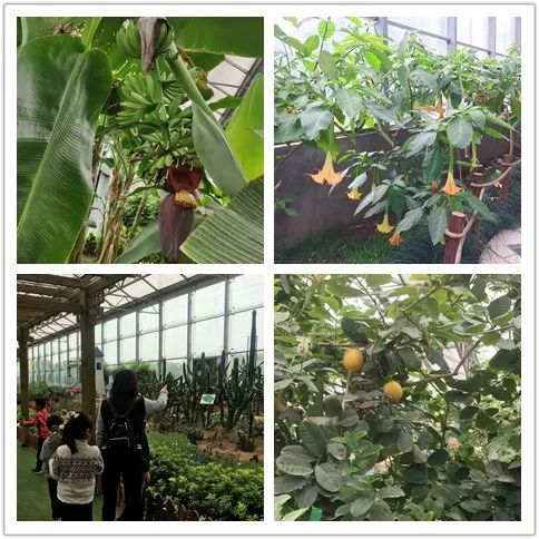 【家庭学习苑】|上外嘉外一(2)班天天向上学习