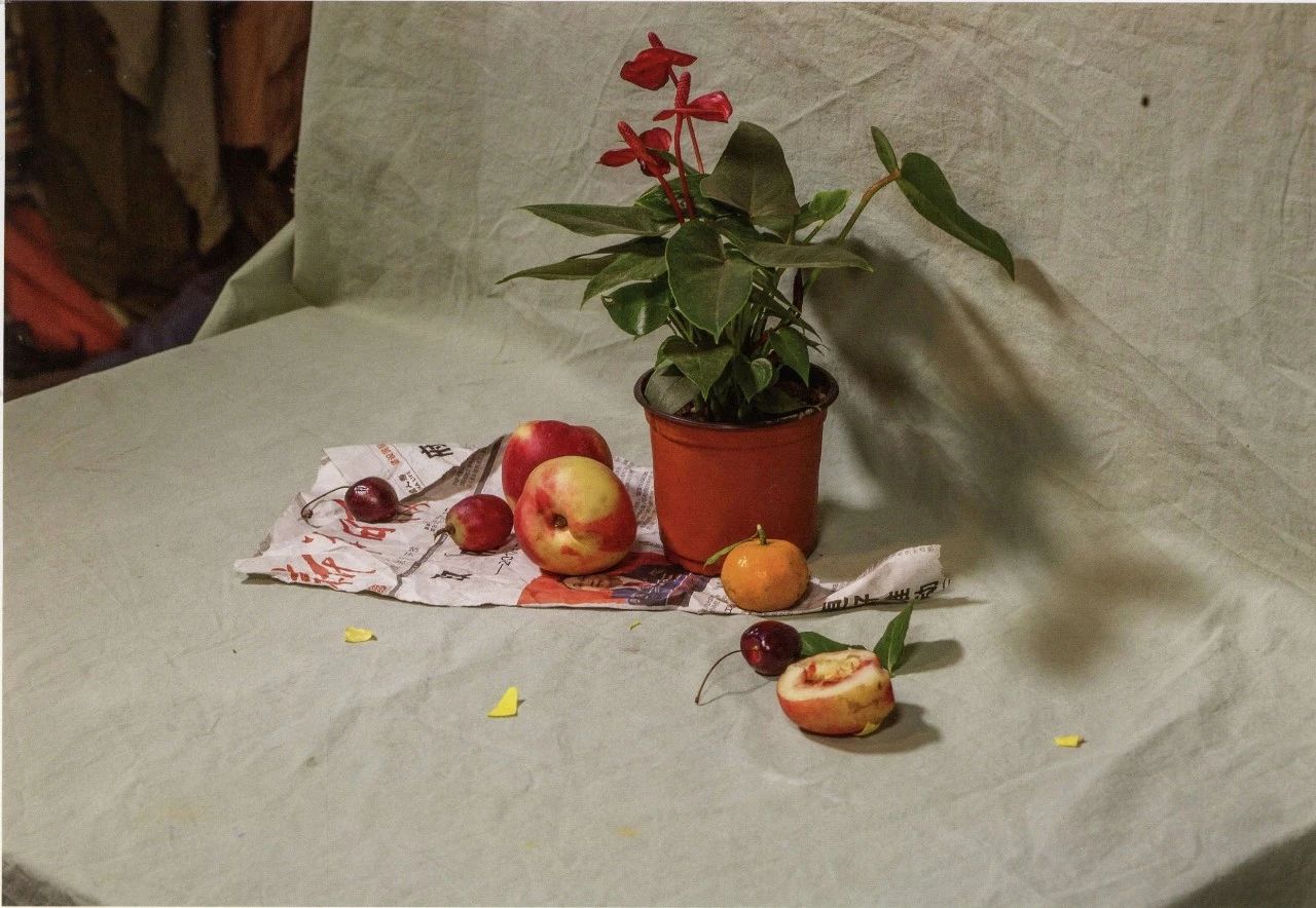 超强干货丨花卉组合静物照片素材