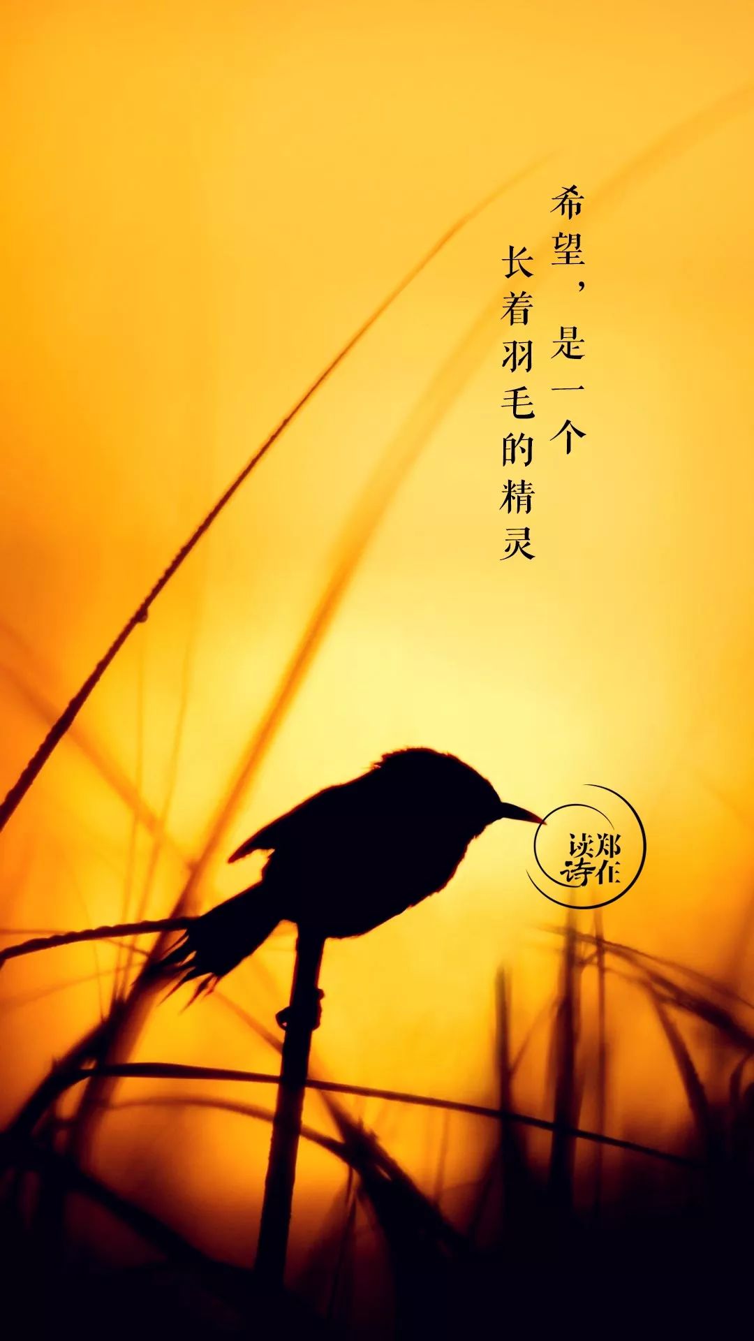 最陌生的海域里也有它的歌声 然而,它即使是身处绝境 猛地抽出"希望"