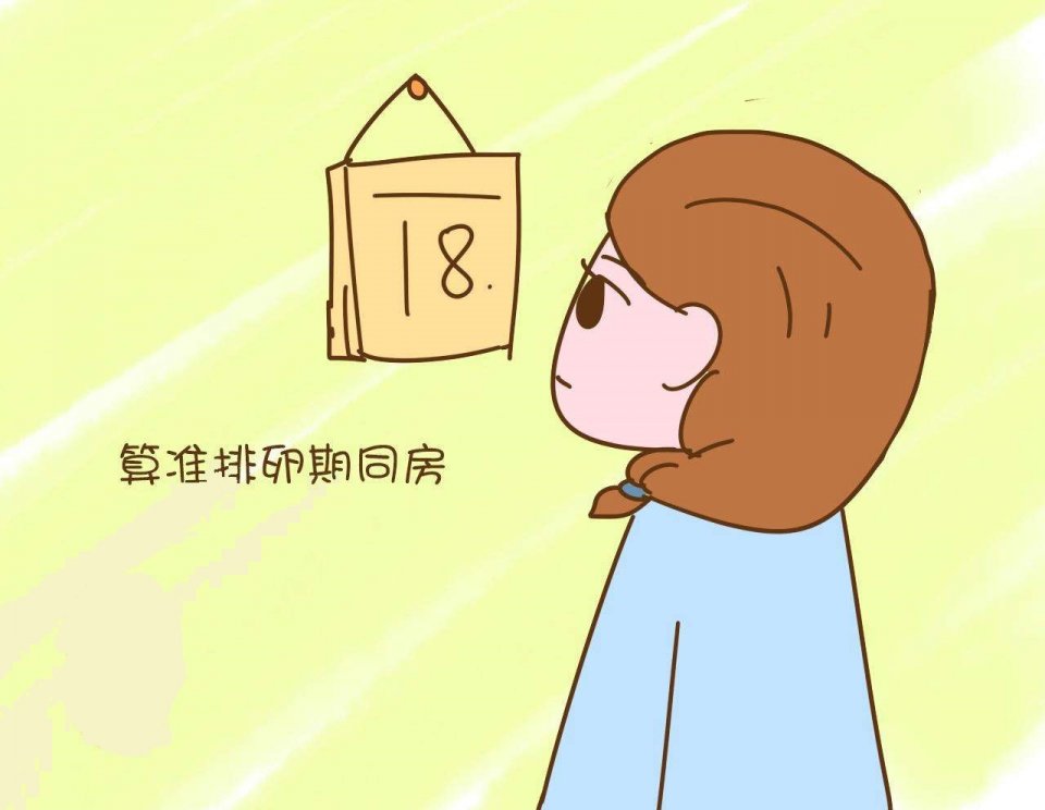 备孕,排卵期同房次数越多中奖率越高?跟你想的不一样!