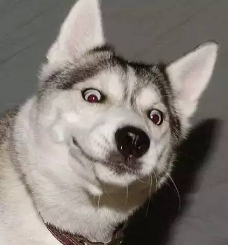 418004ddfe214031be38b01b5d6411fe.jpeg