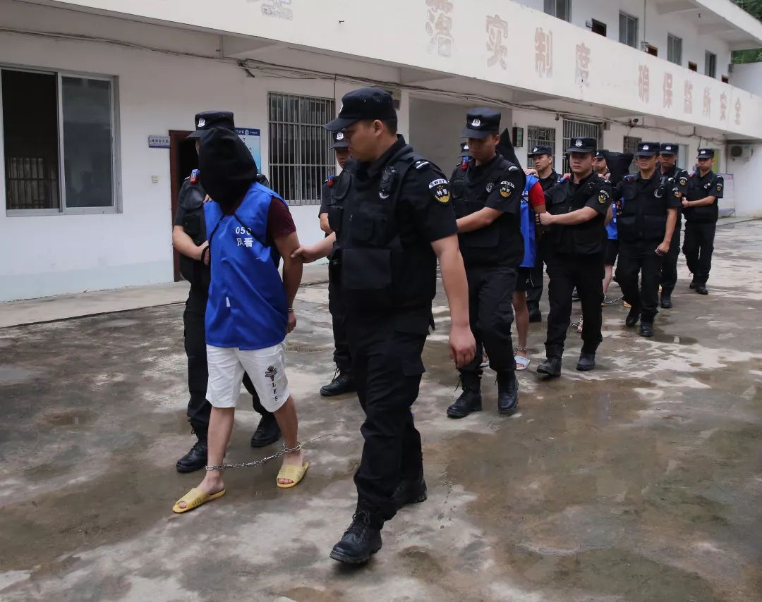 交53万获5100亿?这2个诈骗犯罪团伙被警方打掉