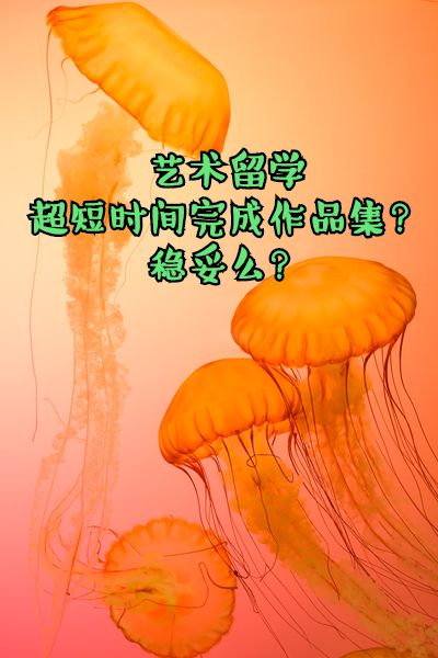 怎么搞作品 43dbcb10e4b3468e9f419d80d0845b67.jpeg