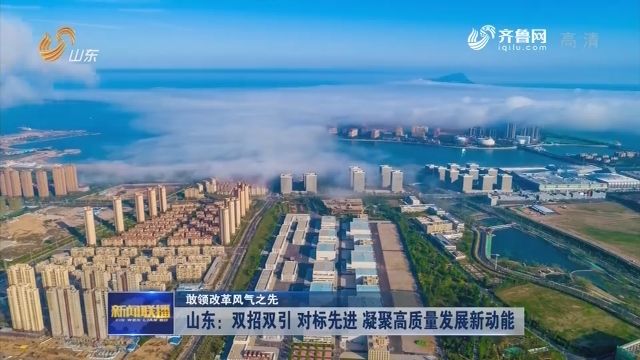 抛弃唯gdp_跨国汽车零部件企业营收表现盘点