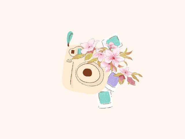 不再去讨好谁 4d26c23c163e4efe82860da6568151cb.jpeg