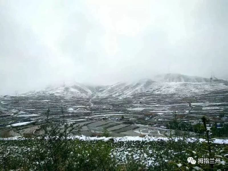 七里河黄峪沟马连滩↓↓↓ 阿干镇也下雪了↓↓↓ 突如其来的雪, 让