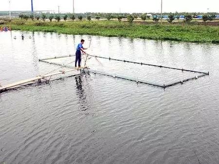 怎么养鱼不用打氧 51132fd49511429ea74062b23839a118.jpeg