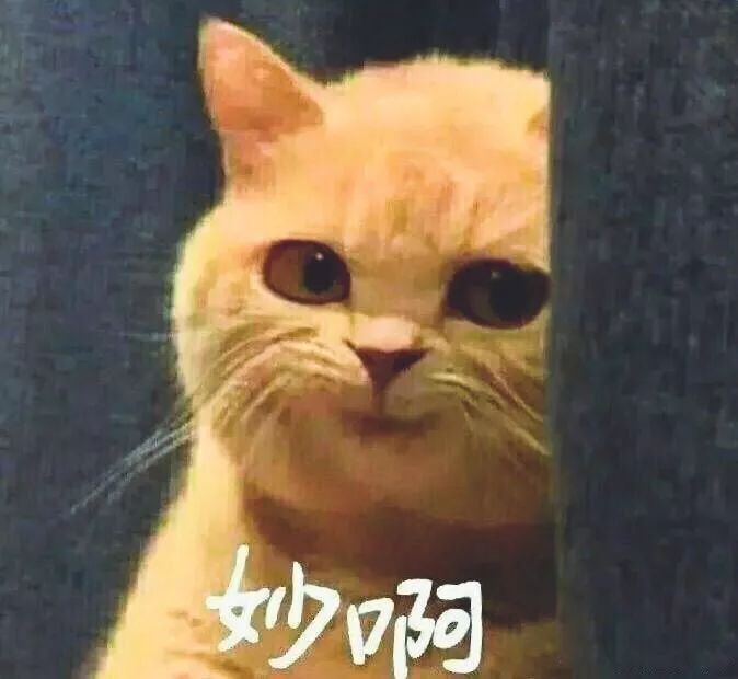 566e5e05b8c8498eb7ee322abf8b8fba.jpeg