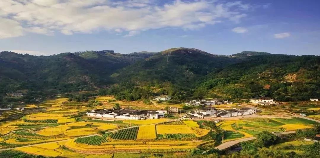 快来为闽清后垅村打call!