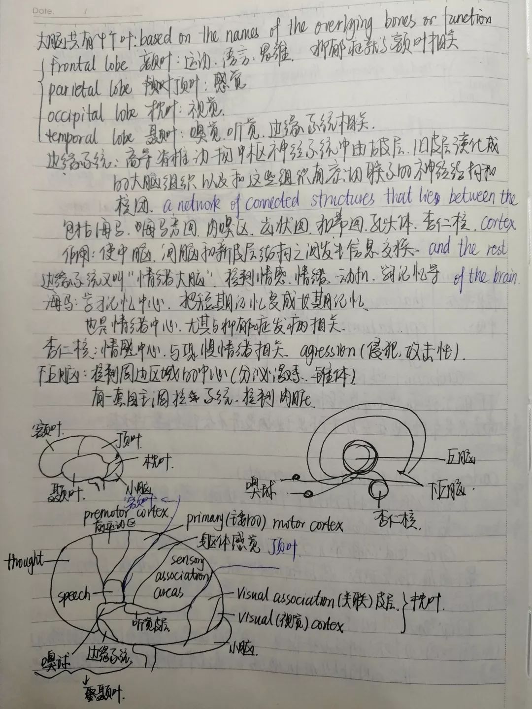 619a41df8e704955ac948e1ca63a00b0.jpeg