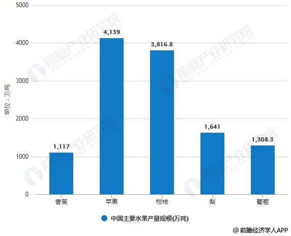 水果人均消费_中国人均水果消费支出(3)
