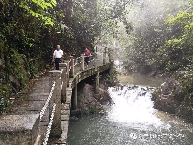 上犹阳明湖,九龙江森林公园,翁源三华李,天鹅湖度假酒店4天游(纯玩)