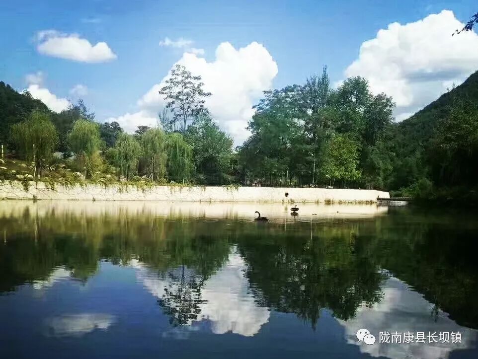 陇南康县长坝镇 | 蔷薇花开,待君来