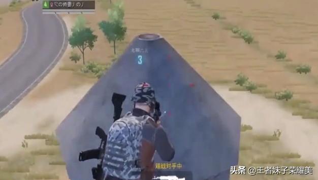 蕨菜怎么保存到下半年【手游科技辅助发卡网】