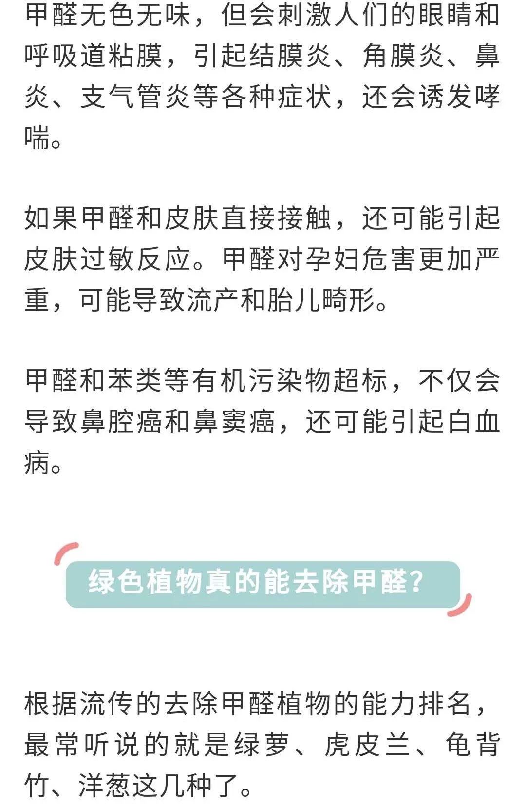 吸甲醛排名_除甲醛排名第一的植物