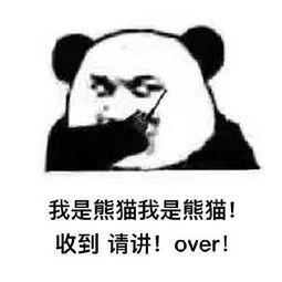 熊猫头斗图表情包:我是熊猫我是熊猫收到请回答!