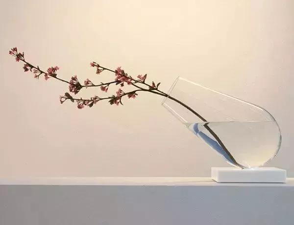 如何预防蚊子叮咬_诱杀蚊子_被蚊子叮咬怎么办