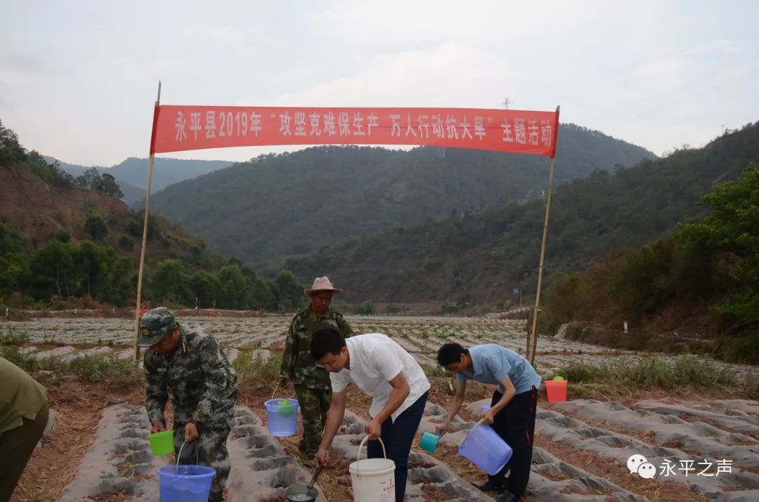 永平县厂街人口_永平县龙街镇图片(2)