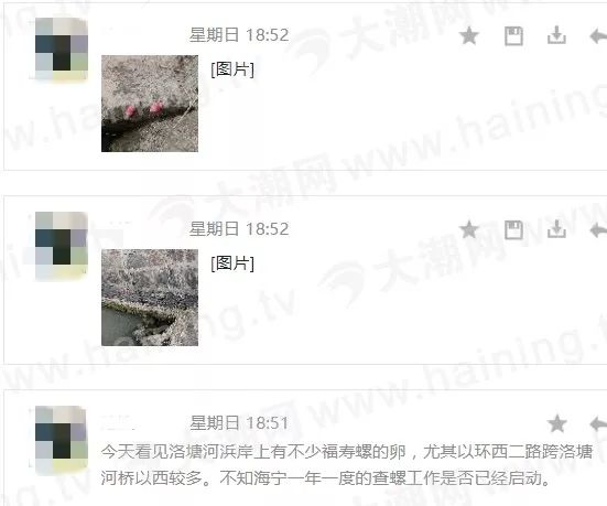 紧急提醒!这东西在海宁大量泛滥 密密麻麻!看到后这么做! 99热久久最新地址18免费